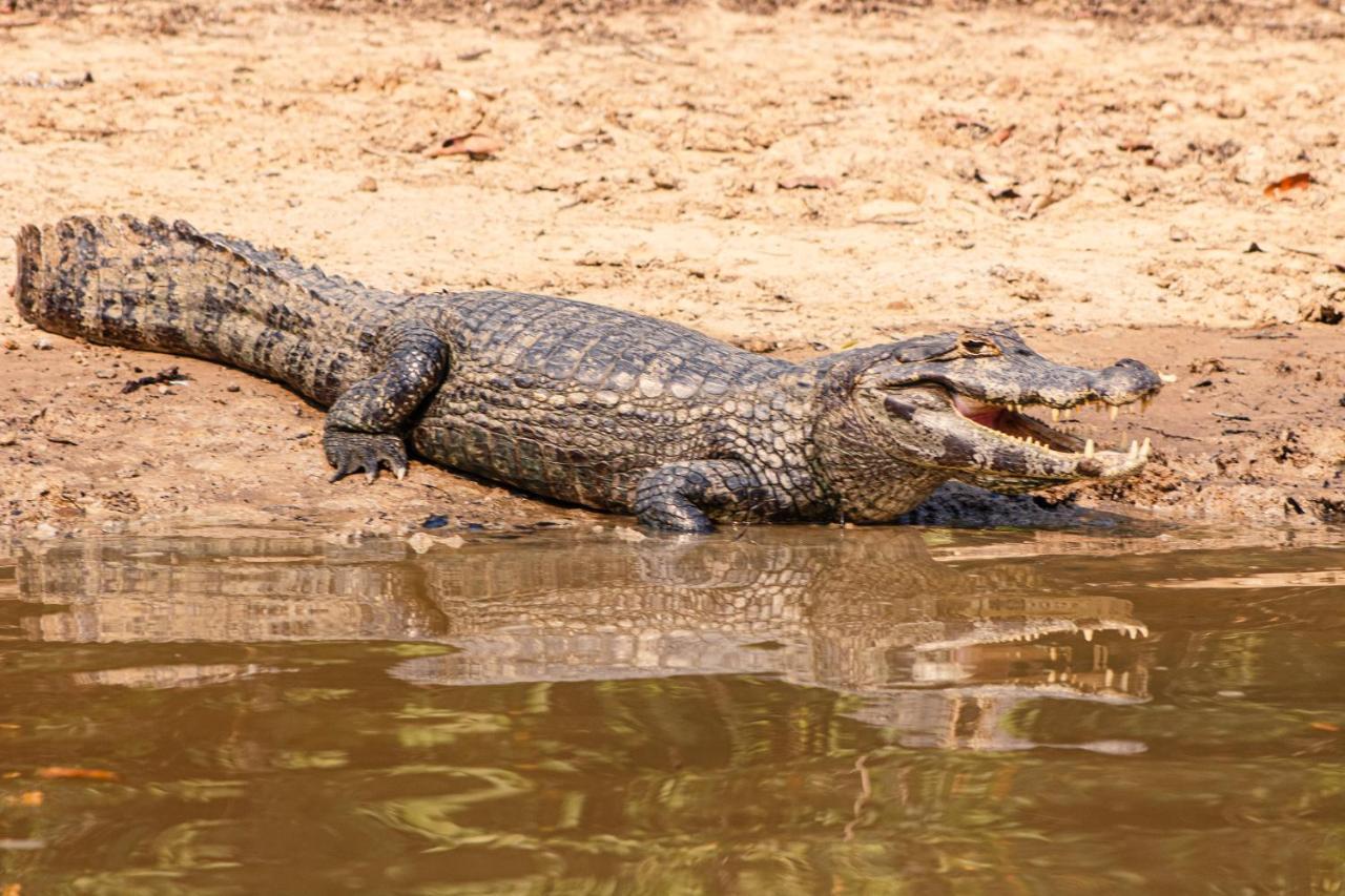 Hotel Pantanal Mato Grosso Pocone Luaran gambar