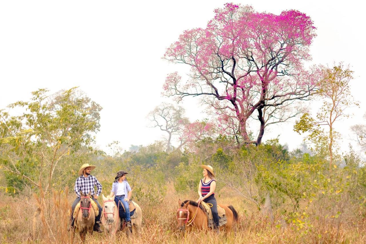 Hotel Pantanal Mato Grosso Pocone Luaran gambar