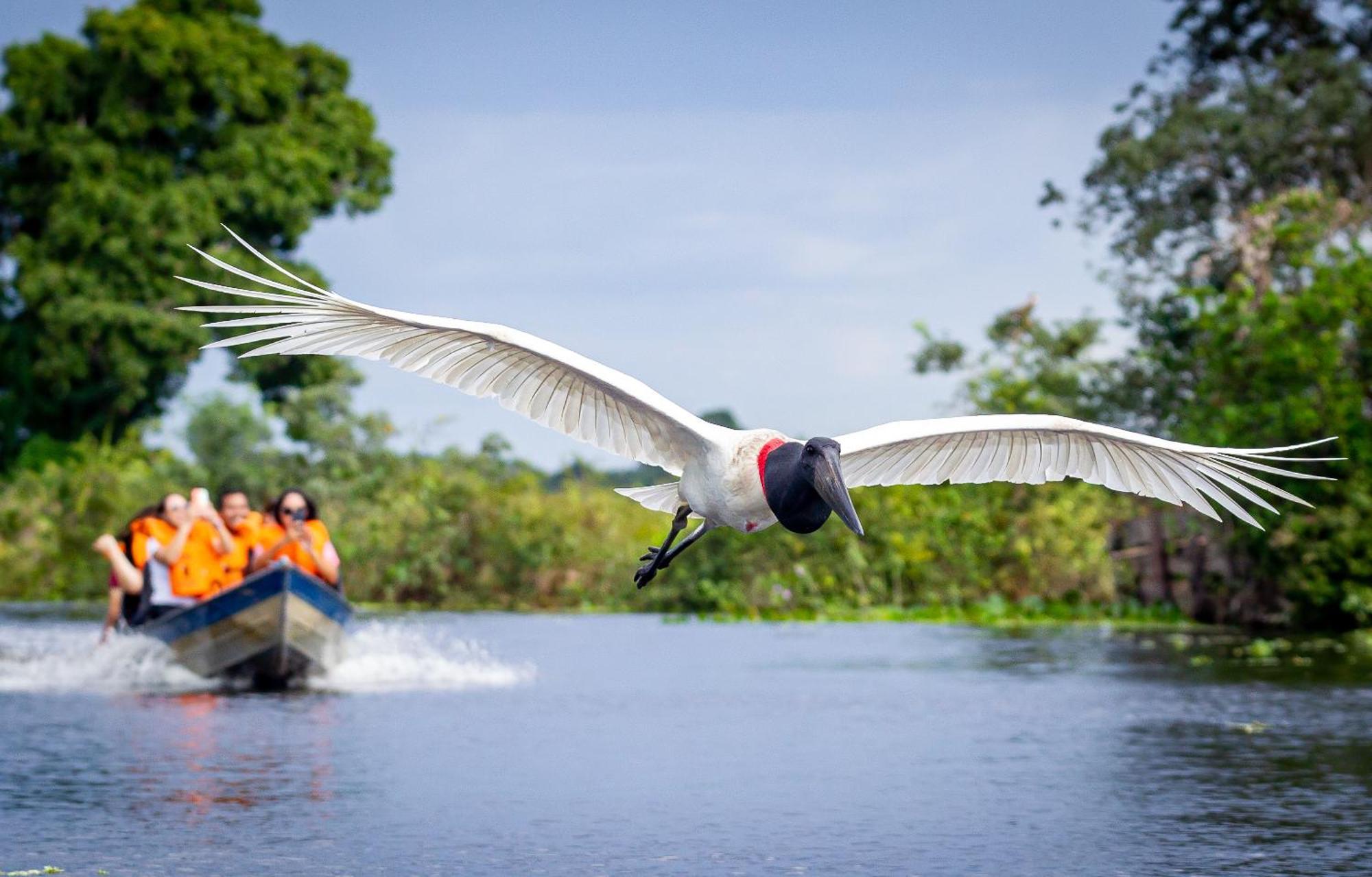 Hotel Pantanal Mato Grosso Pocone Luaran gambar