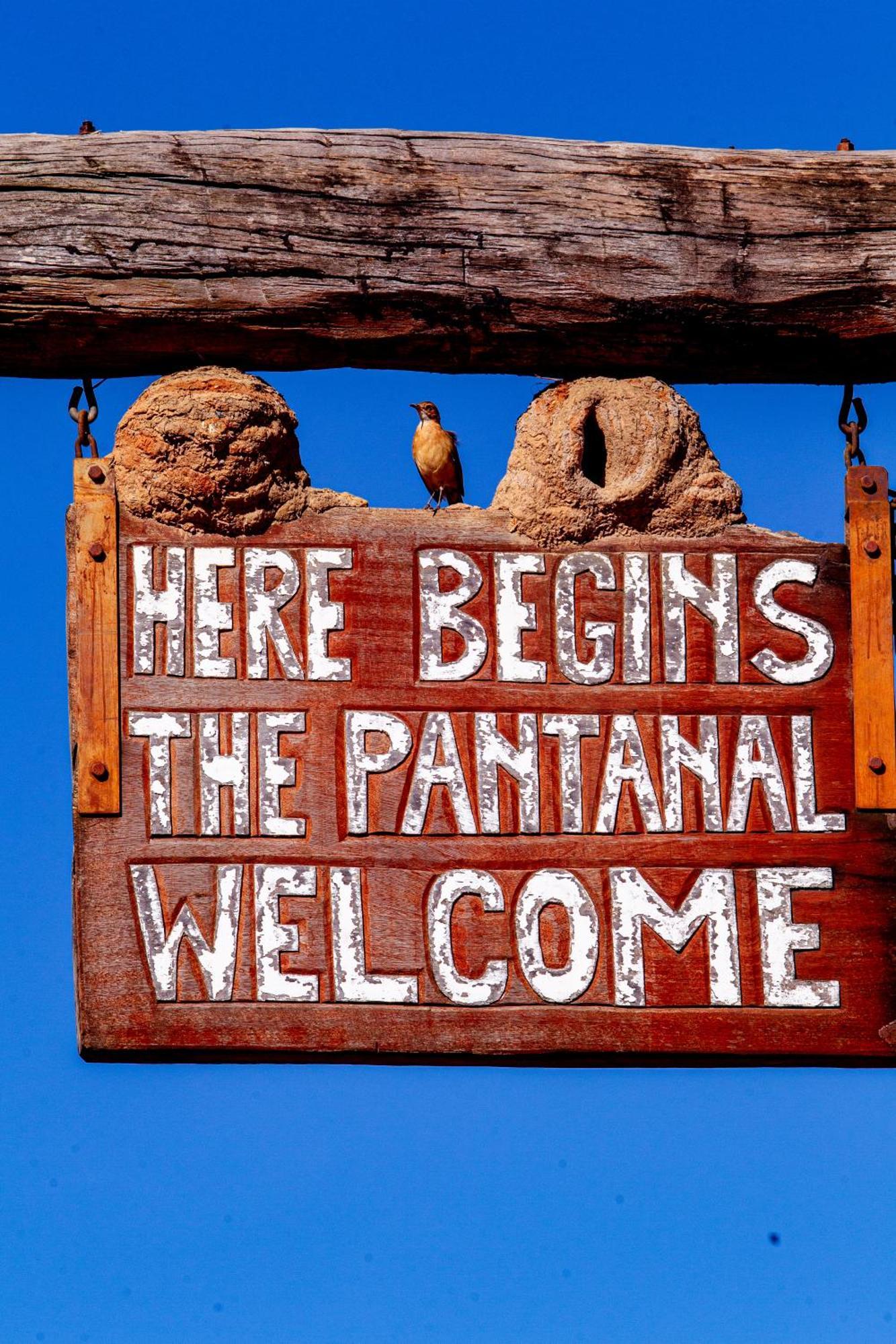 Hotel Pantanal Mato Grosso Pocone Luaran gambar