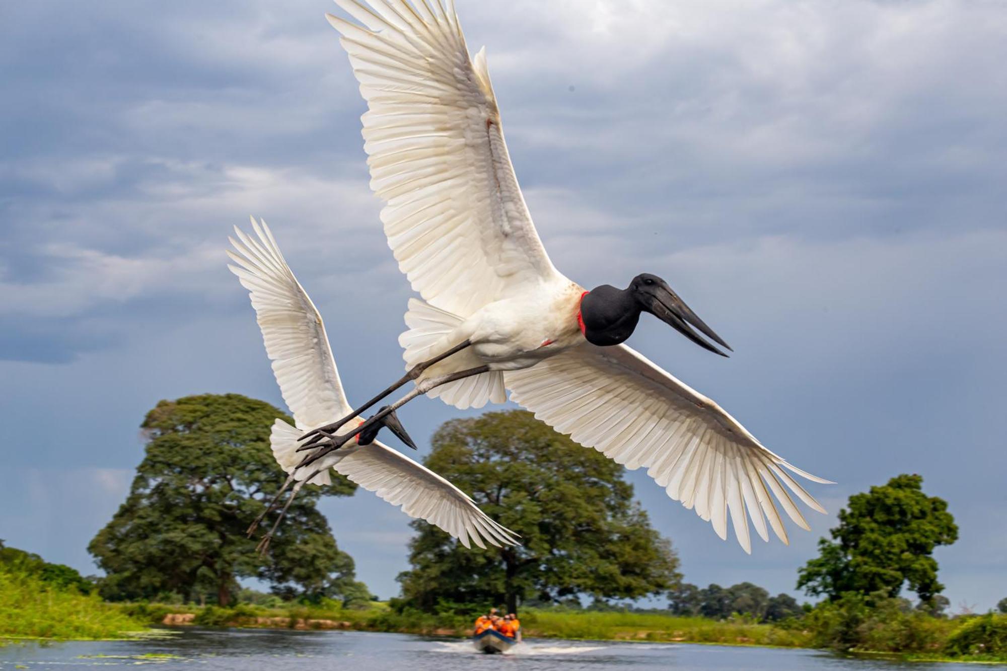 Hotel Pantanal Mato Grosso Pocone Luaran gambar