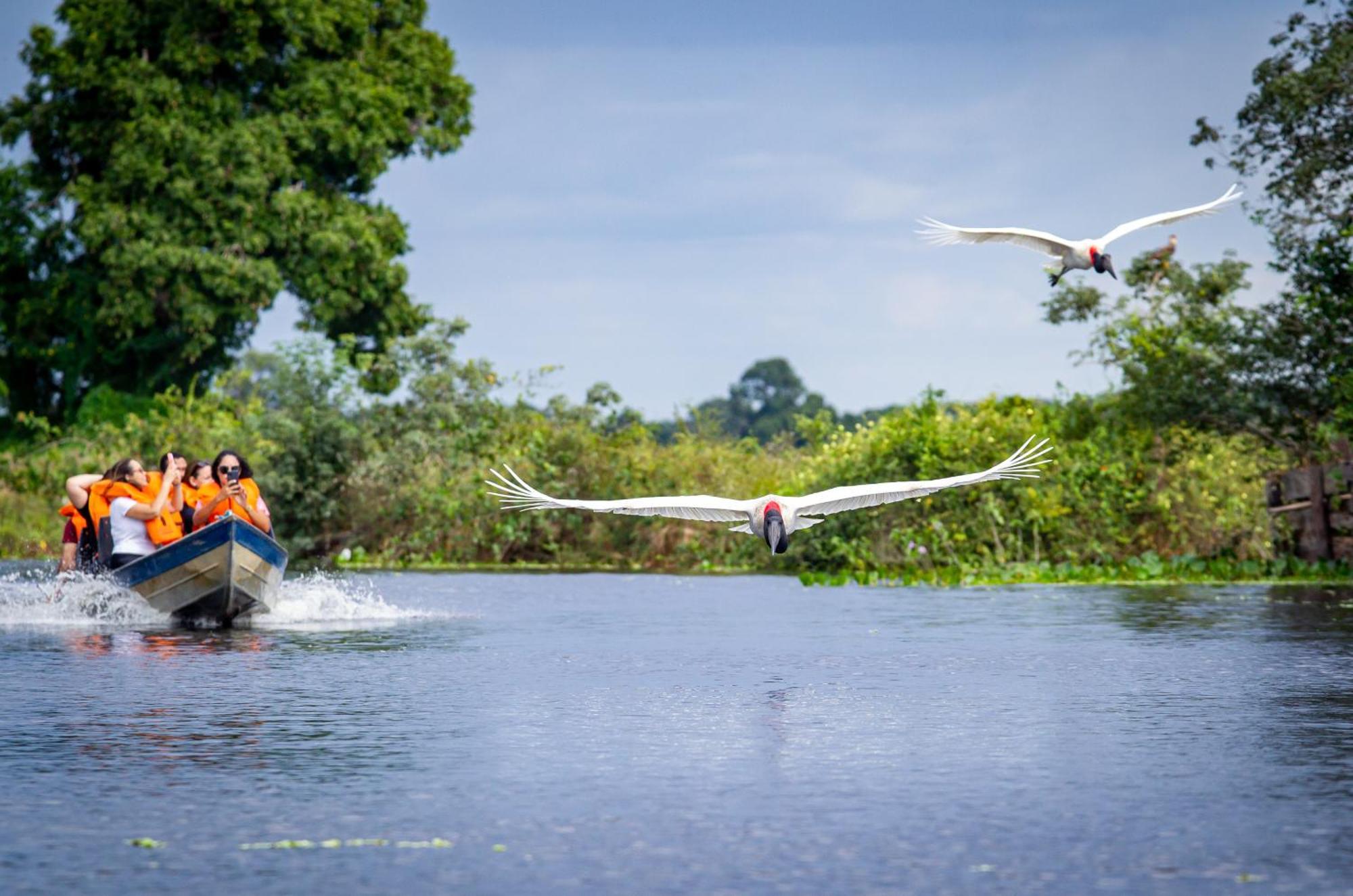 Hotel Pantanal Mato Grosso Pocone Luaran gambar